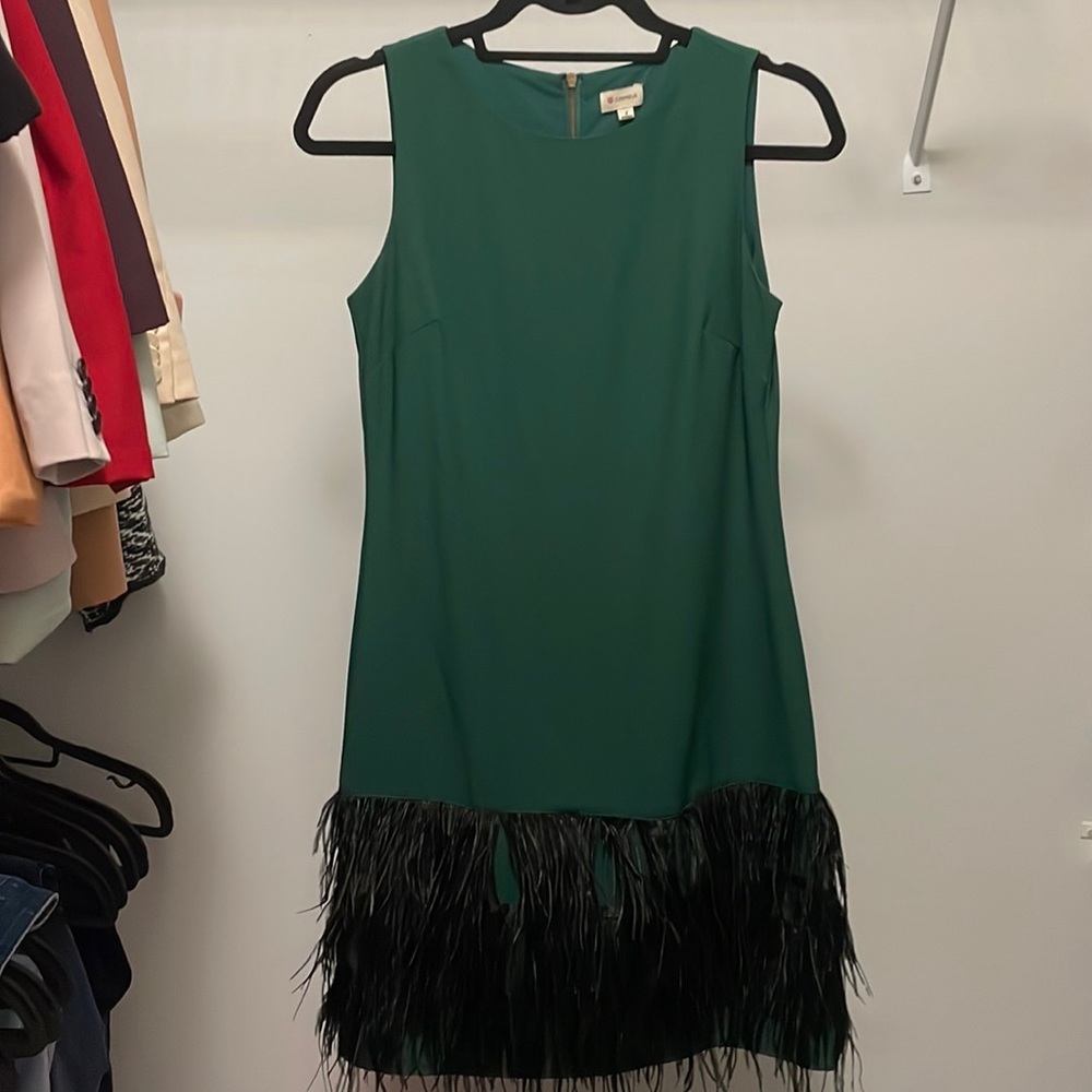 Green Dress with Feathers